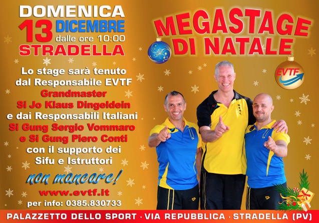 MegaStage-Stradella-13_12_2015