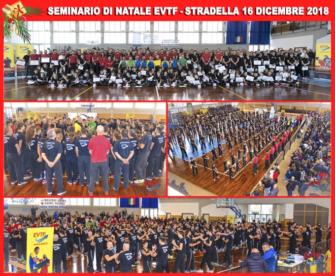 Collage-Seminario-Stradella-16-12-2018
