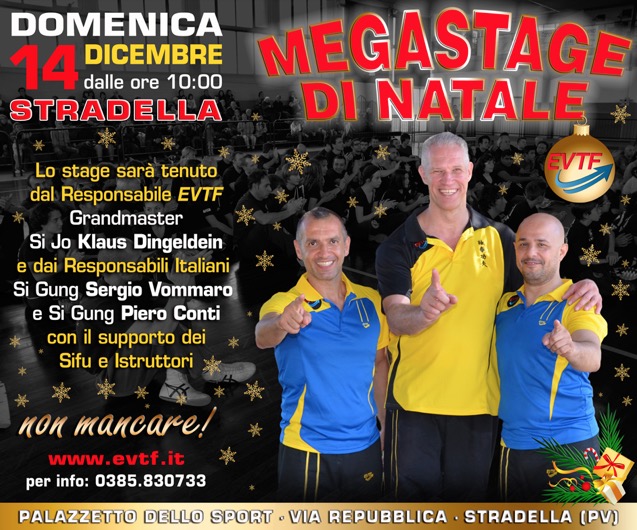 MegaStage-Stradella-12_2014_sito
