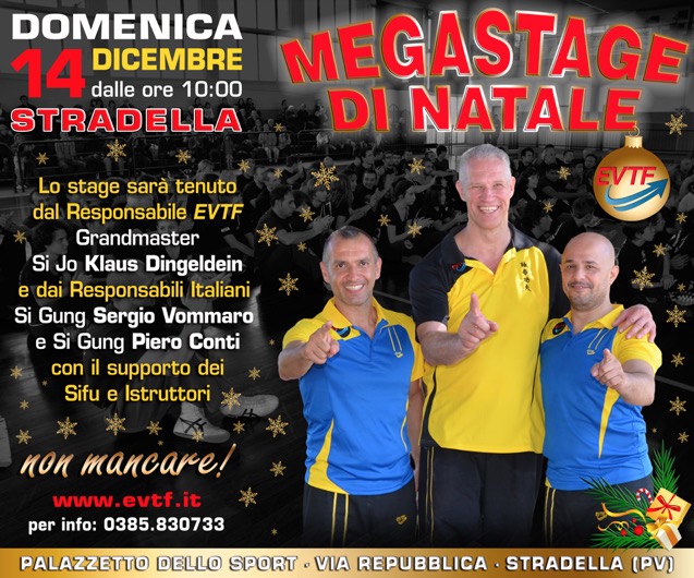 MegaStage-Stradella-12_2014_sito