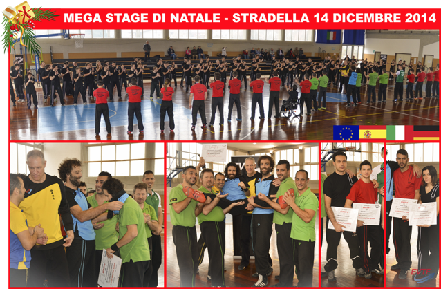 Megastage-Stradella-16-12-2014
