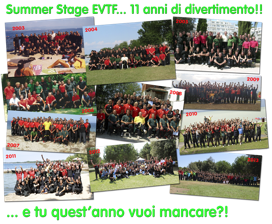 Summer-Stage-2003-2013