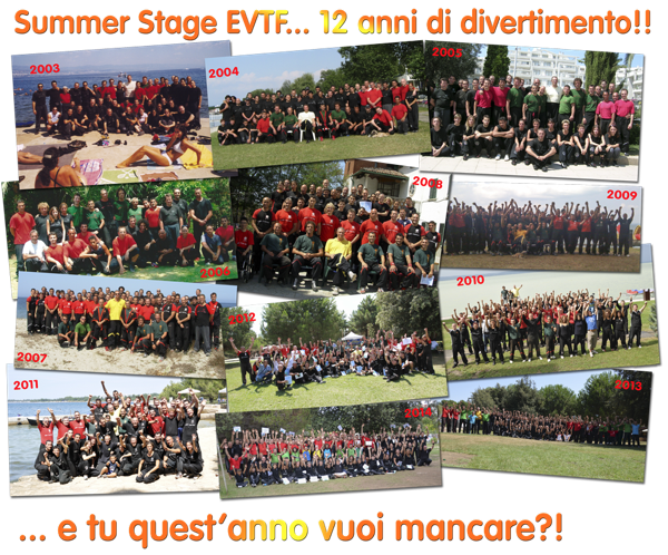 Summer-Stage-2003-2014