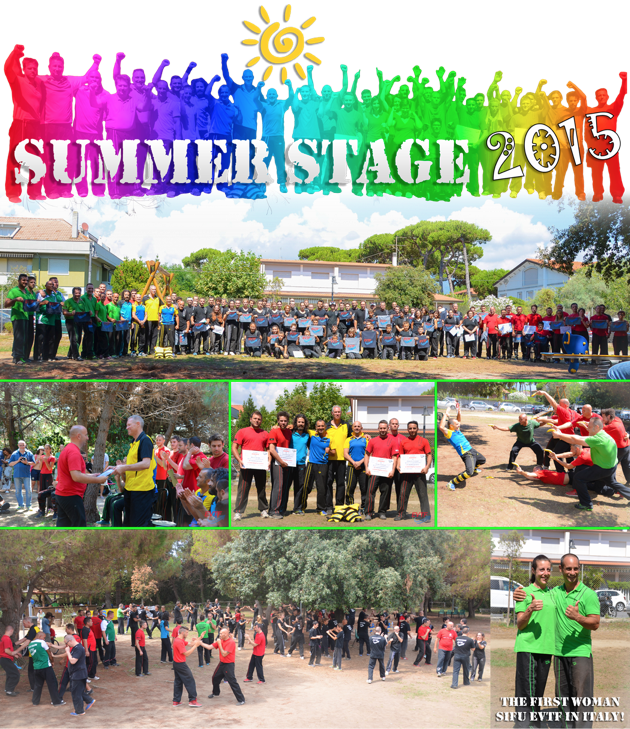 Summer-Stage-2015